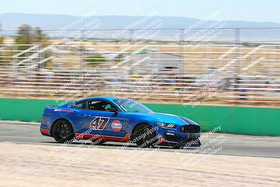 media/May-07-2022-Cobra Owners Club of America (Sat) [[e681d2ddb7]]/Blue/Session 2 (Turn 1 and Front Straight)/